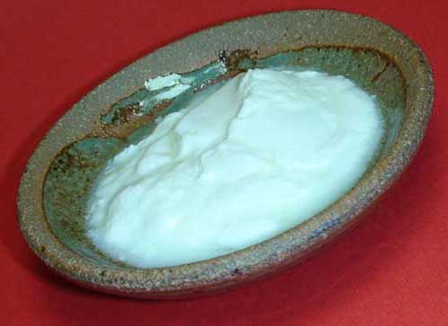 Homemade Yogurt (Dahi)