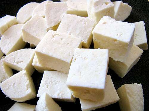 Paneer Indian Cheese