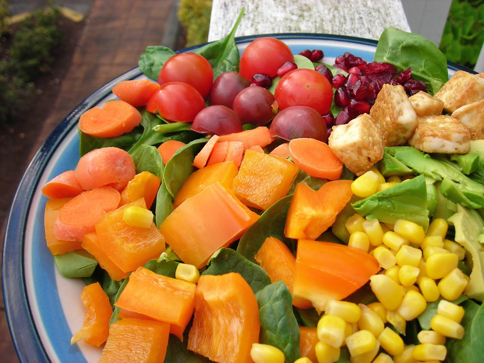 Rainbow Salad Health and Colors